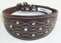 Brown Diamante Stud and Stich Design Leather Collar For Whippet Greyhound Lurcher