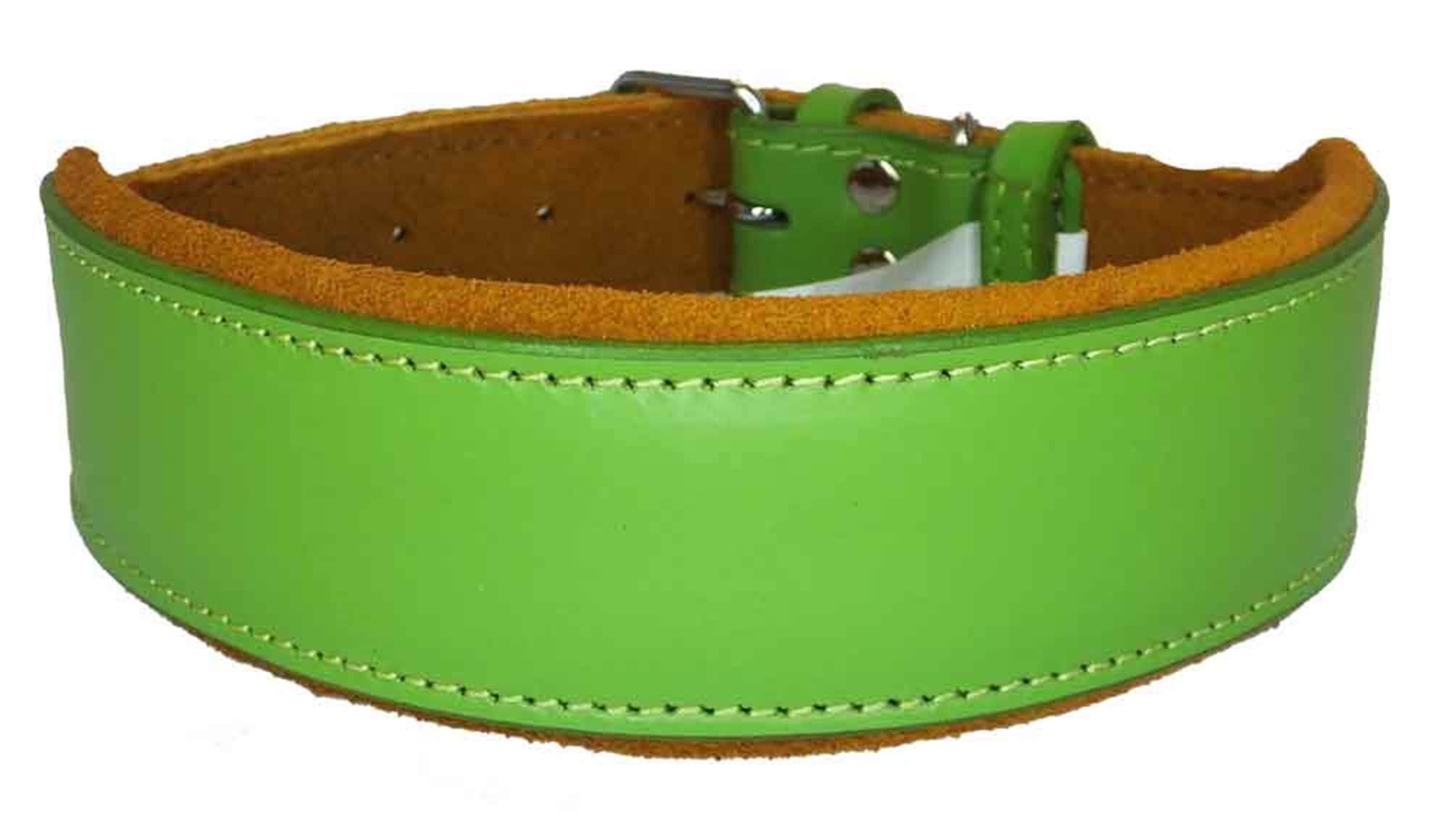 Leather Dog Collar Staffy Staffordshire Bull Terrier Bulldog 6 Sises 9 Colours