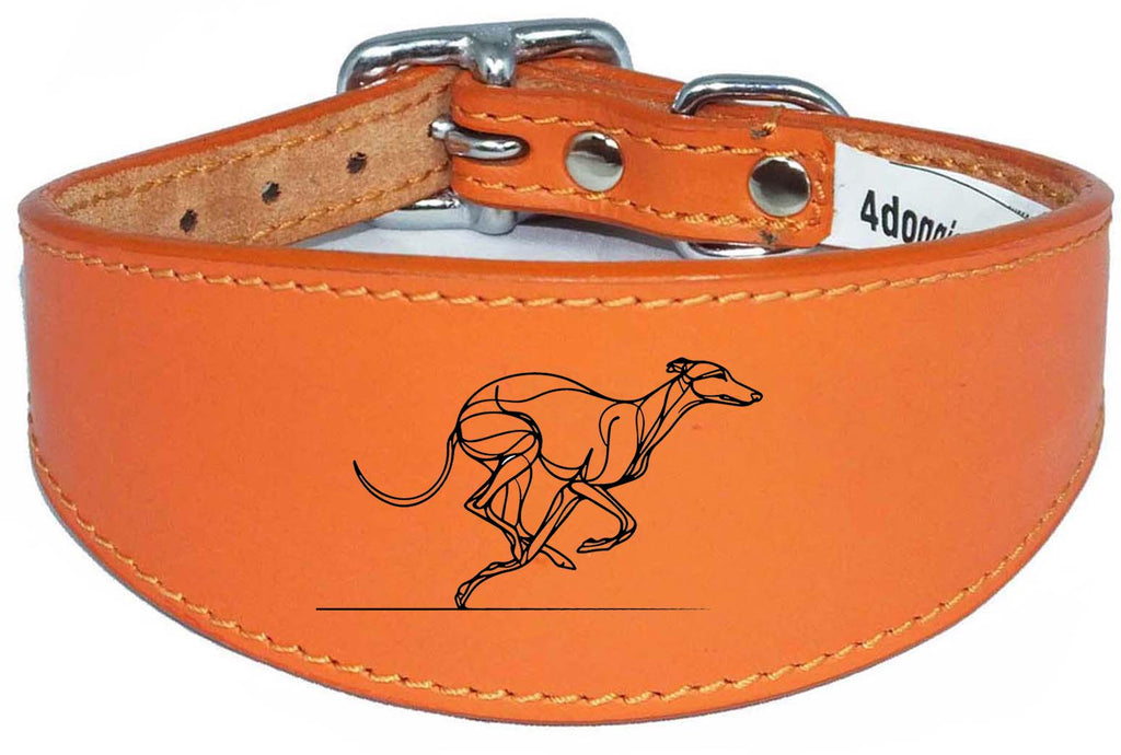 Greyhound Sighthound Whippet Wide Dog Collar with Padded Backing NL 15