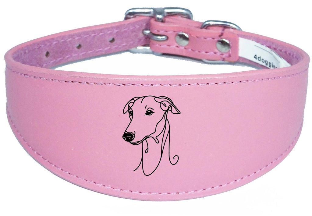 Luxury Sighthound Padded Leather Whippet Greyhound Collar in the UK NL 22