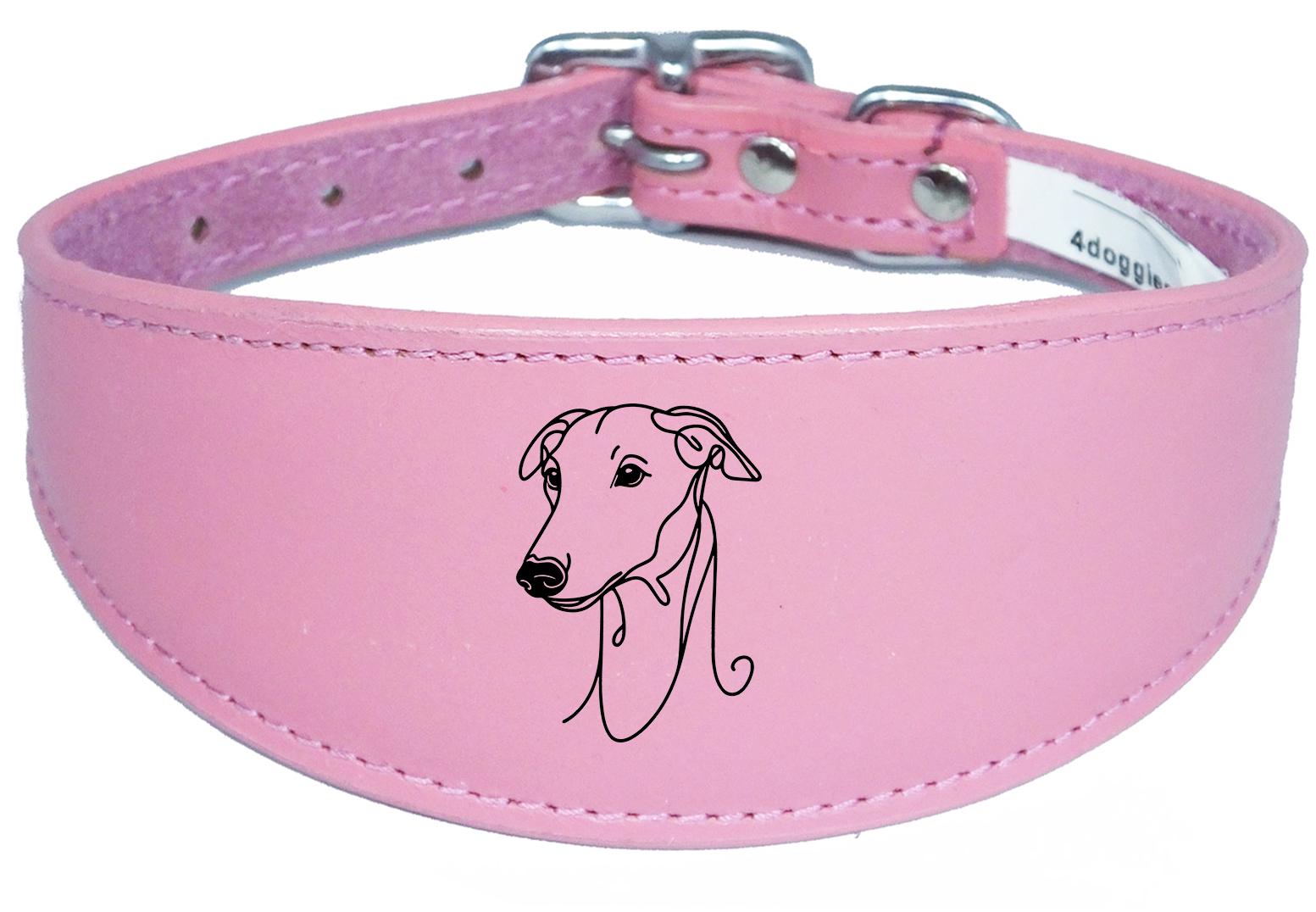 Luxury Sighthound Padded Leather Whippet Greyhound Collar in the UK NL 22