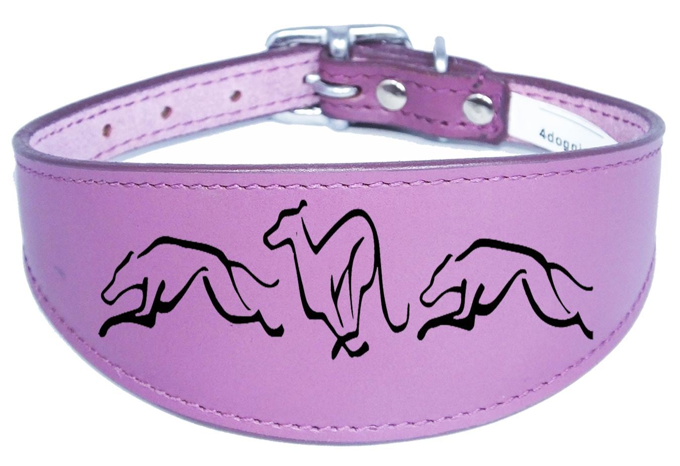 Dog Collar Leather Greyhound Collar Whippet Collar Padded Backing Engraved Running Hound