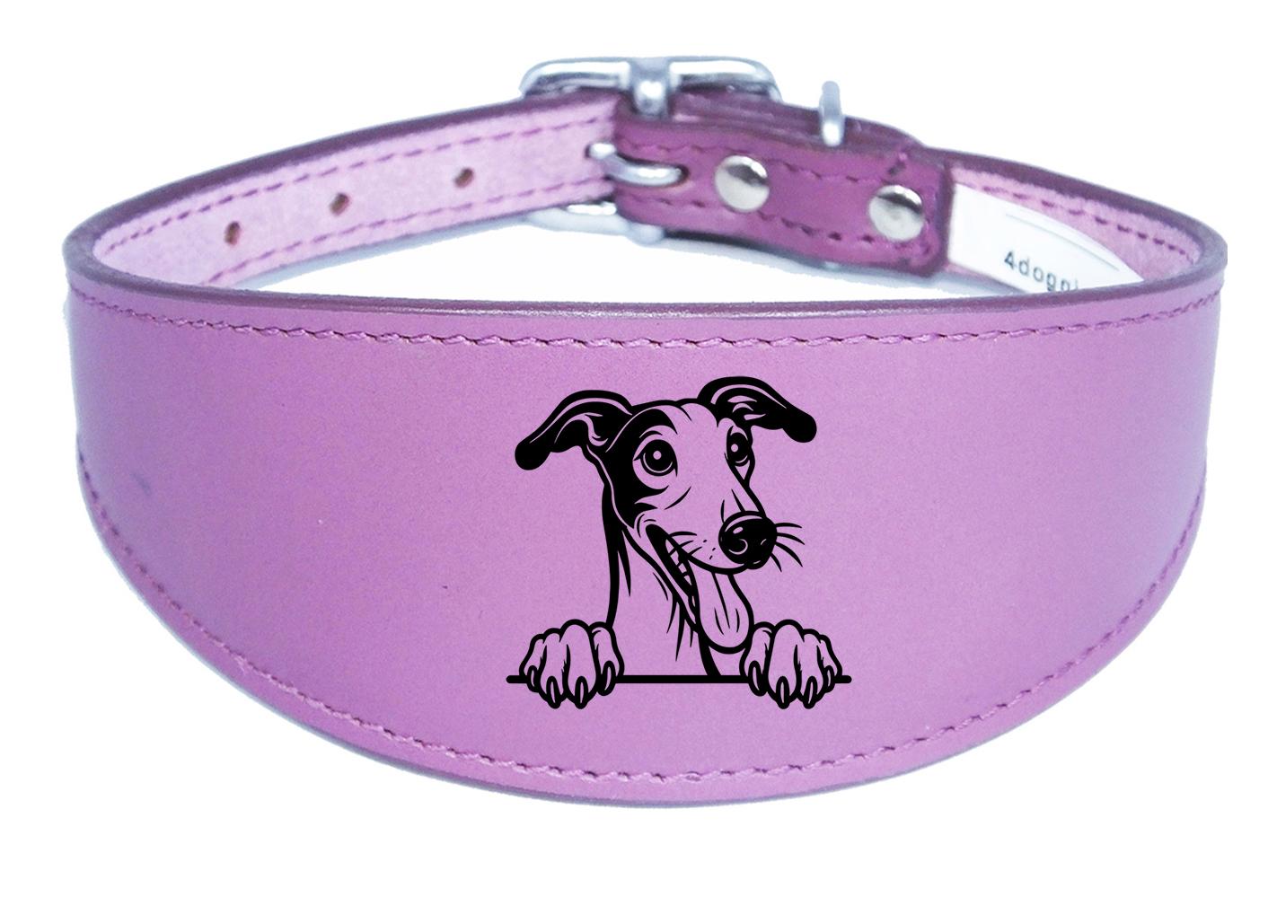 Iggy Greyhound Whippet Sighthound Padded Leather Collar NL 28