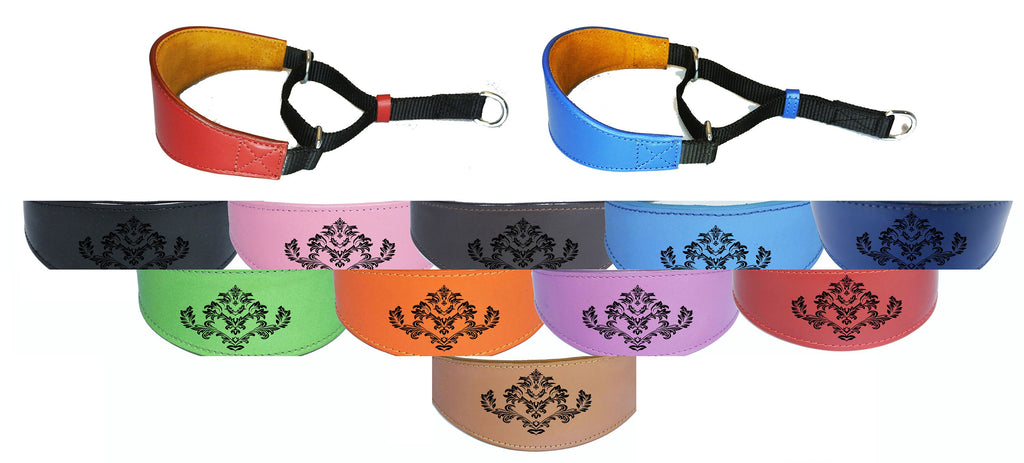 Italian Greyhound Whippet  Greyhound Afghan Saluki Leather Dog Collar Padded Suede Backing Martingale D21