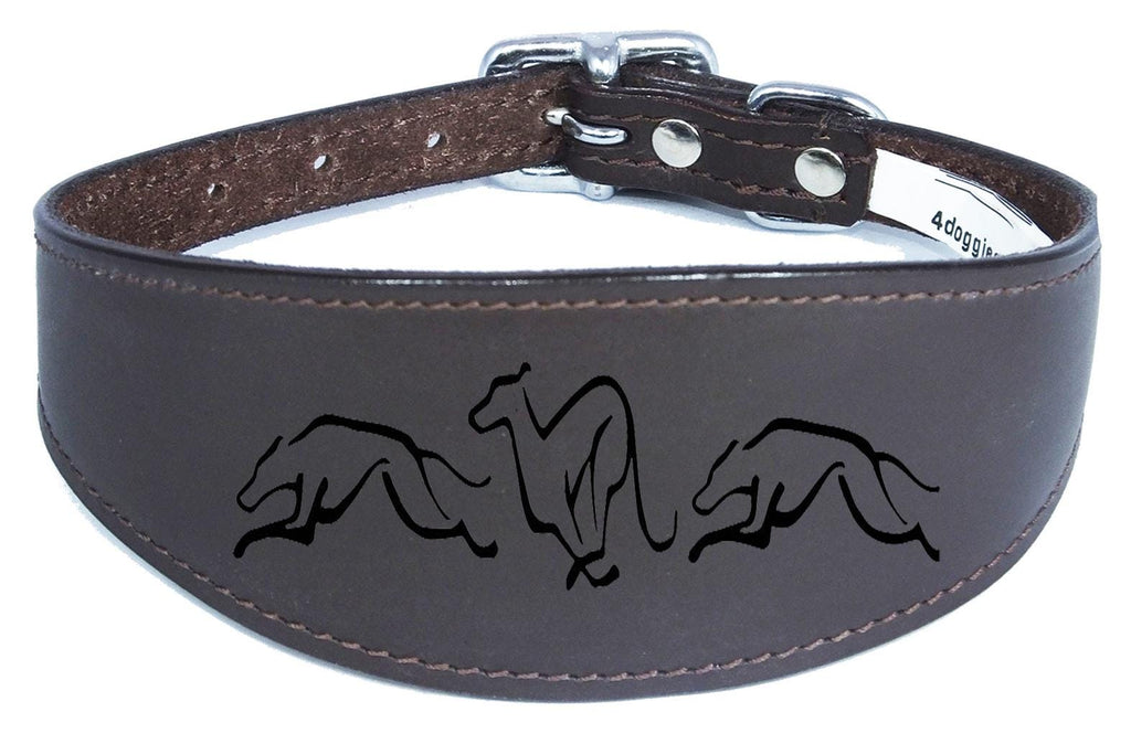 Dog Collar Leather Greyhound Collar Whippet Collar Padded Backing Engraved Running Hound