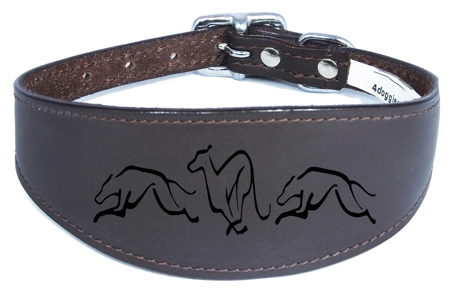 Dog Collar Leather Greyhound Collar Whippet Collar Padded Backing Engraved Running Hound