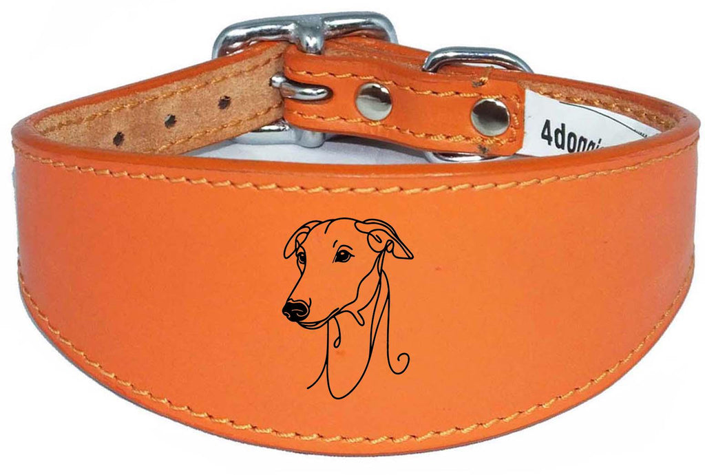 Luxury Sighthound Padded Leather Whippet Greyhound Collar in the UK NL 22
