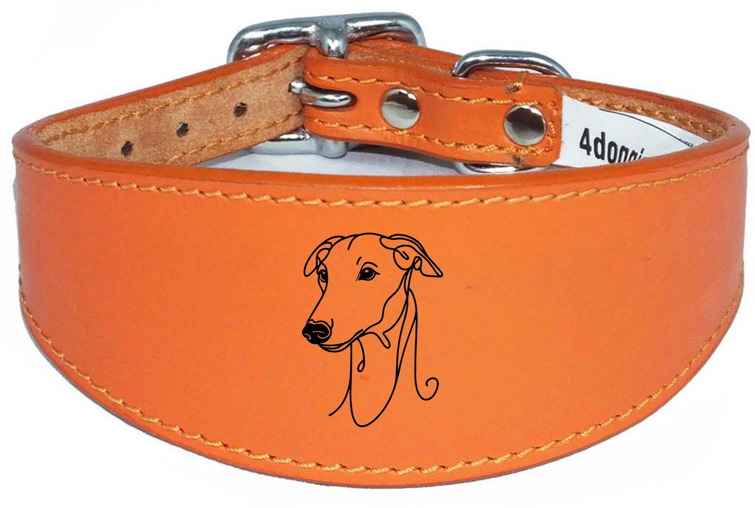 Luxury Sighthound Padded Leather Whippet Greyhound Collar in the UK NL 22