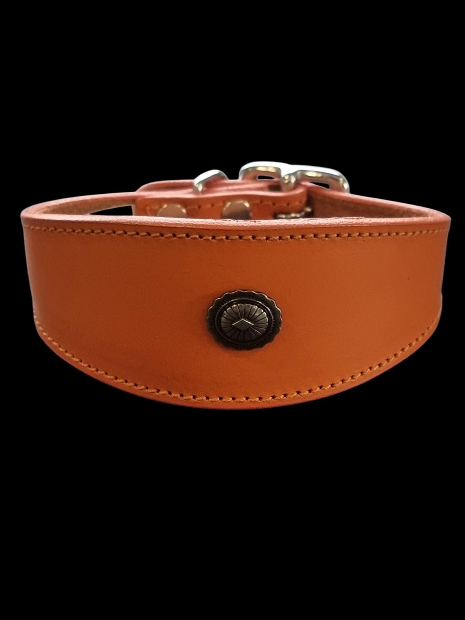 Leather Collar For Iggy, Whippet Greyhound Lurcher Decorative Stud Design DS2