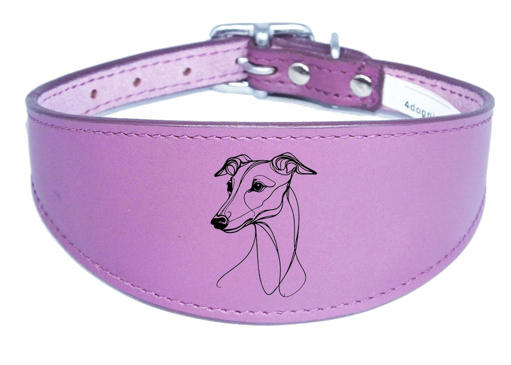 Luxury Padded Sighthound Leather Whippet Collar Handmade in the UK NL 21
