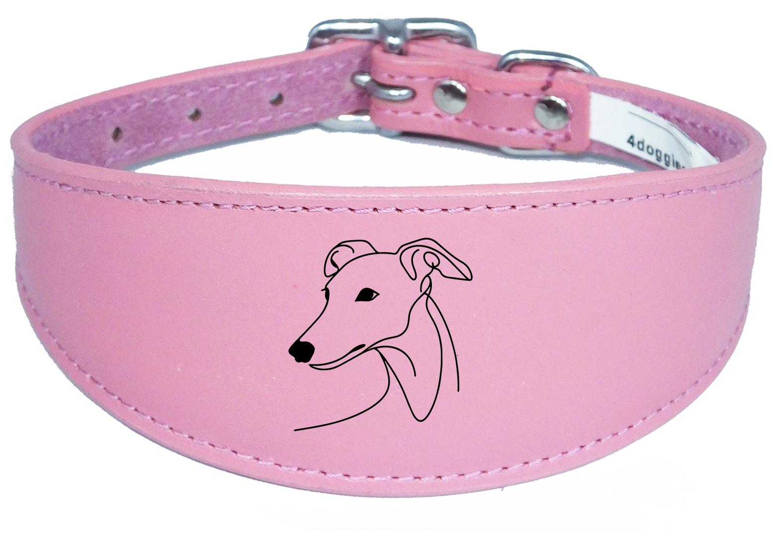 Sighthound Whippet Dog Collar Leather Greyhound with Padded Backing NL 7