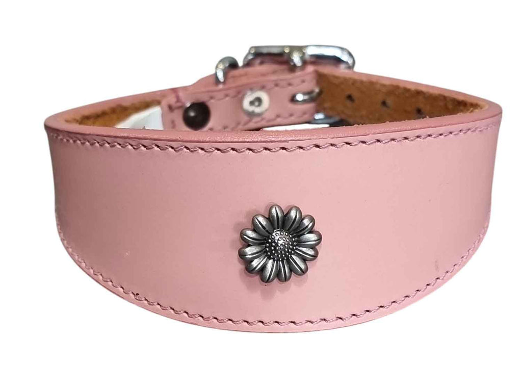 Iggy, Whippet, Greyhound, Lurcher Leather Collar Decorative Stud Design DS 4