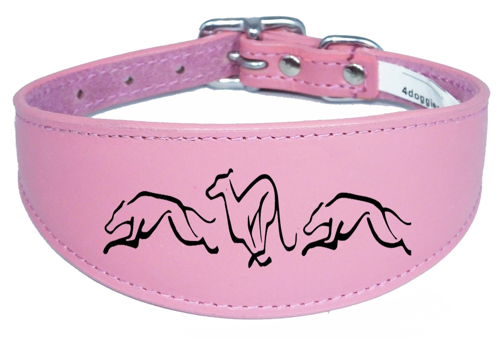 Dog Collar Leather Greyhound Collar Whippet Collar Padded Backing Engraved Running Hound