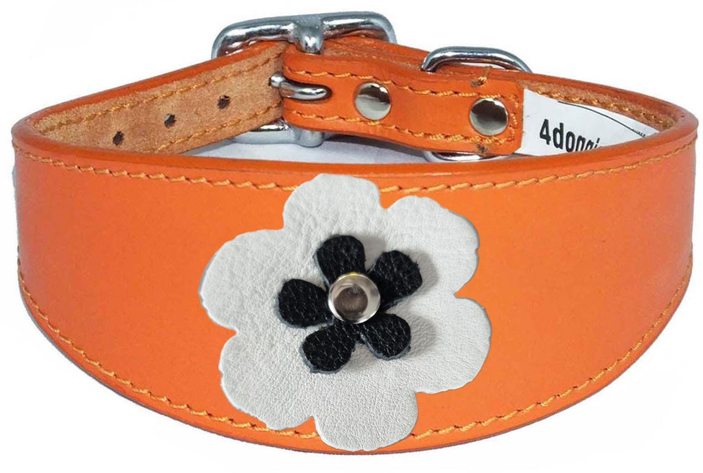 Whippet Greyhound Sighthound Lurcher Decorative Flower Design Leather Collar FD7-5