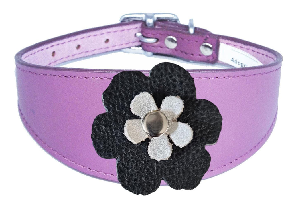 Whippet Greyhound Sighthound Lurcher Decorative Flower Design Leather Collar FD5-7