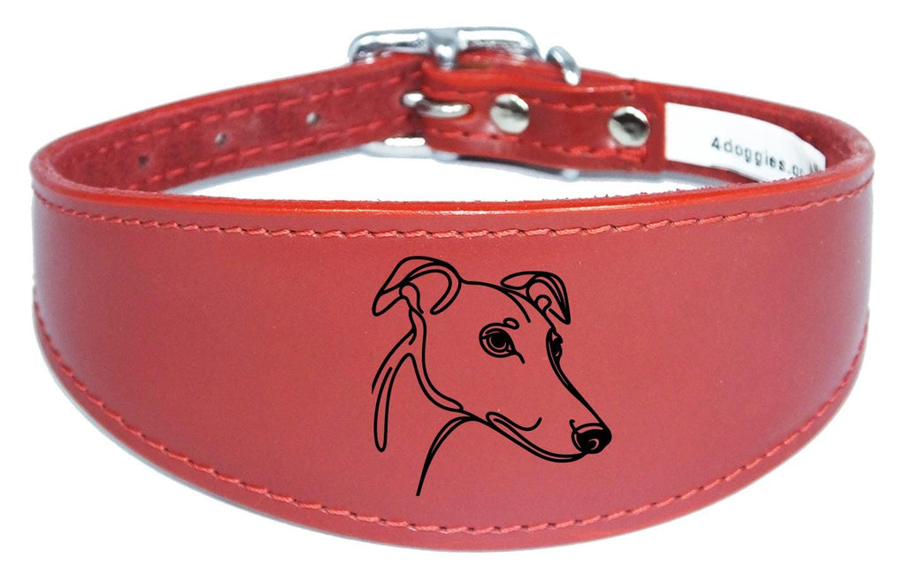 Padded Leather Collar For Greyhound Whippet Sighthound NL 31