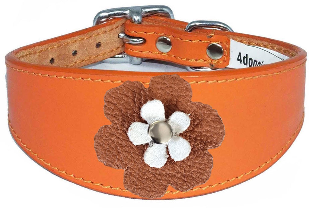 Sighthound Whippet Greyhound Lurcher Decorative Flower Design Leather Collar FD3-7
