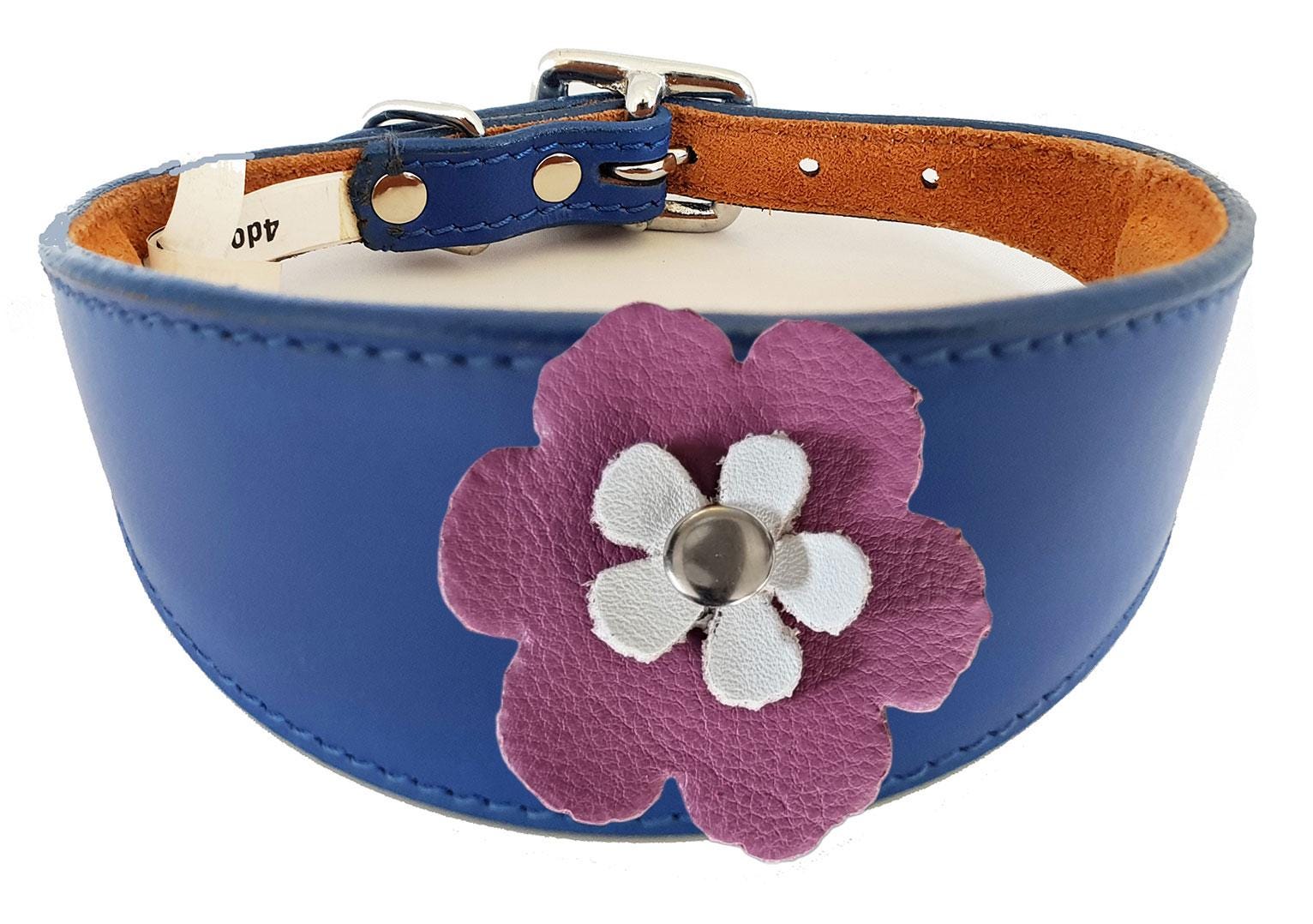 Decorative Flower Design Leather Collar For Sighthound Whippet Greyhound Lurcher FD2-7