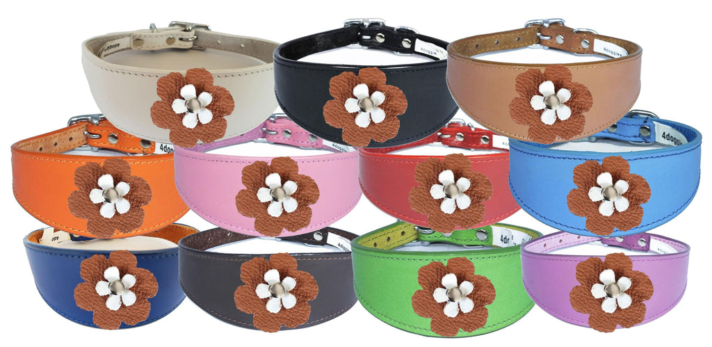 Sighthound Whippet Greyhound Lurcher Decorative Flower Design Leather Collar FD3-7