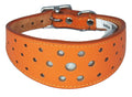 Orange Circle Glitter Design Leather Whippet Collar Greyhound Collar Sight hound Dogs Collar