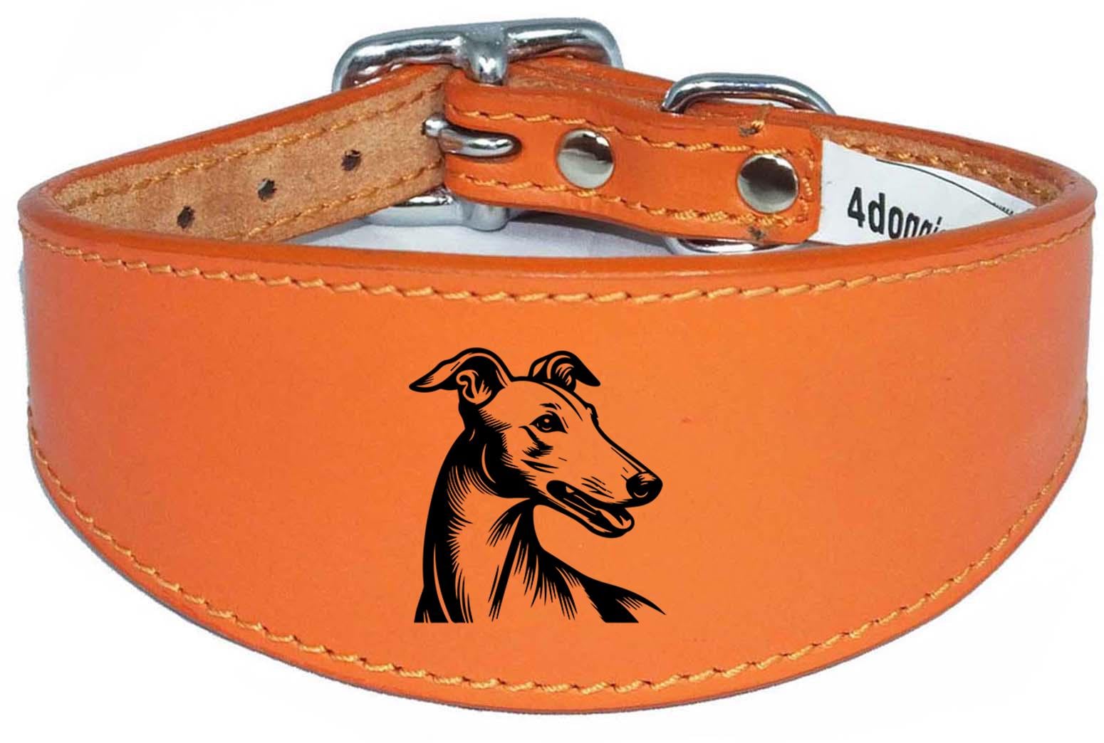 Sighthound Padded Leather Whippet Greyhound Luxury Collar NL 23