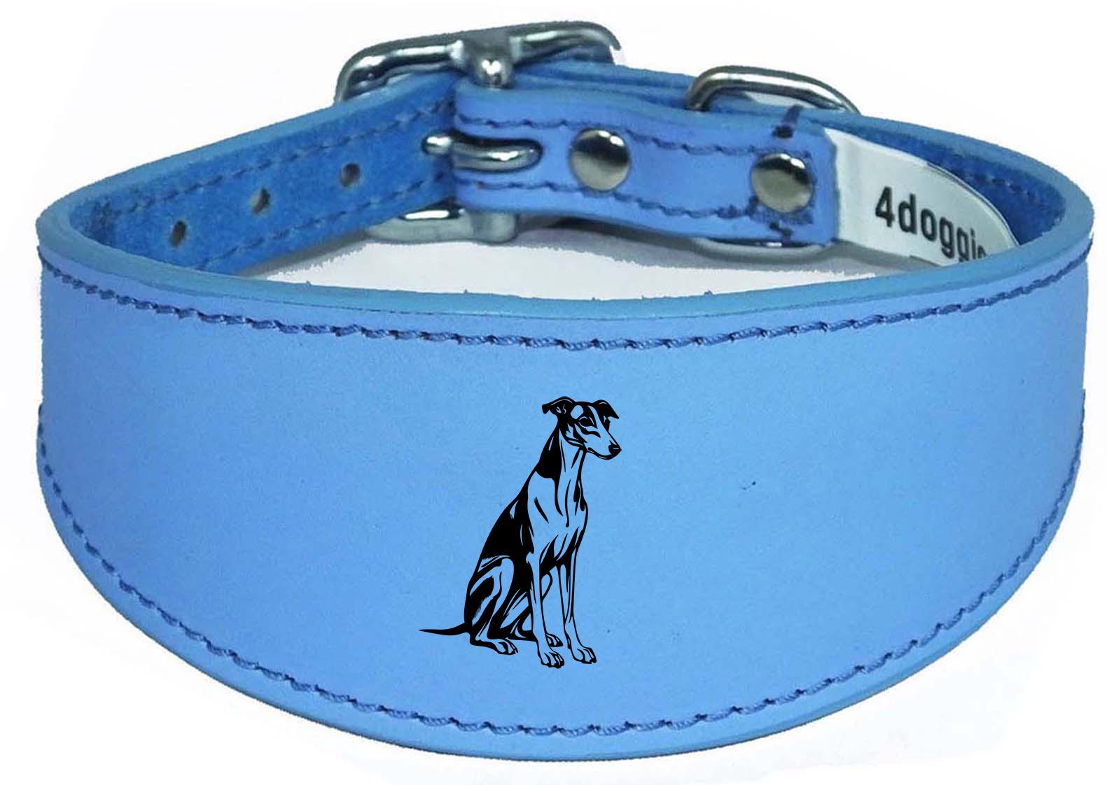 Luxury Whippet Greyhound Sighthound Padded Leather Collar NL 26