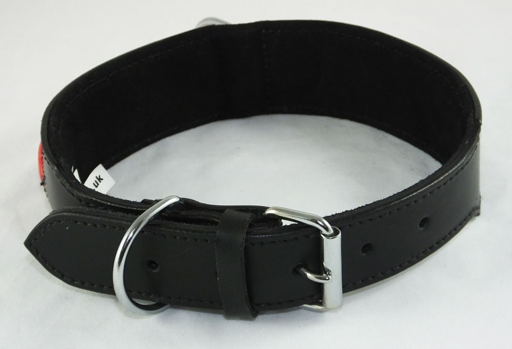 Leather Padded collar Staffordshire Bull Terrier Dog Collar Padded Dog Collars Staffy Bulldog Stars