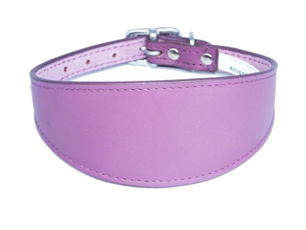 Iggy, Whippet, Greyhound, Lurcher Plain Leather Collar Sude Backing