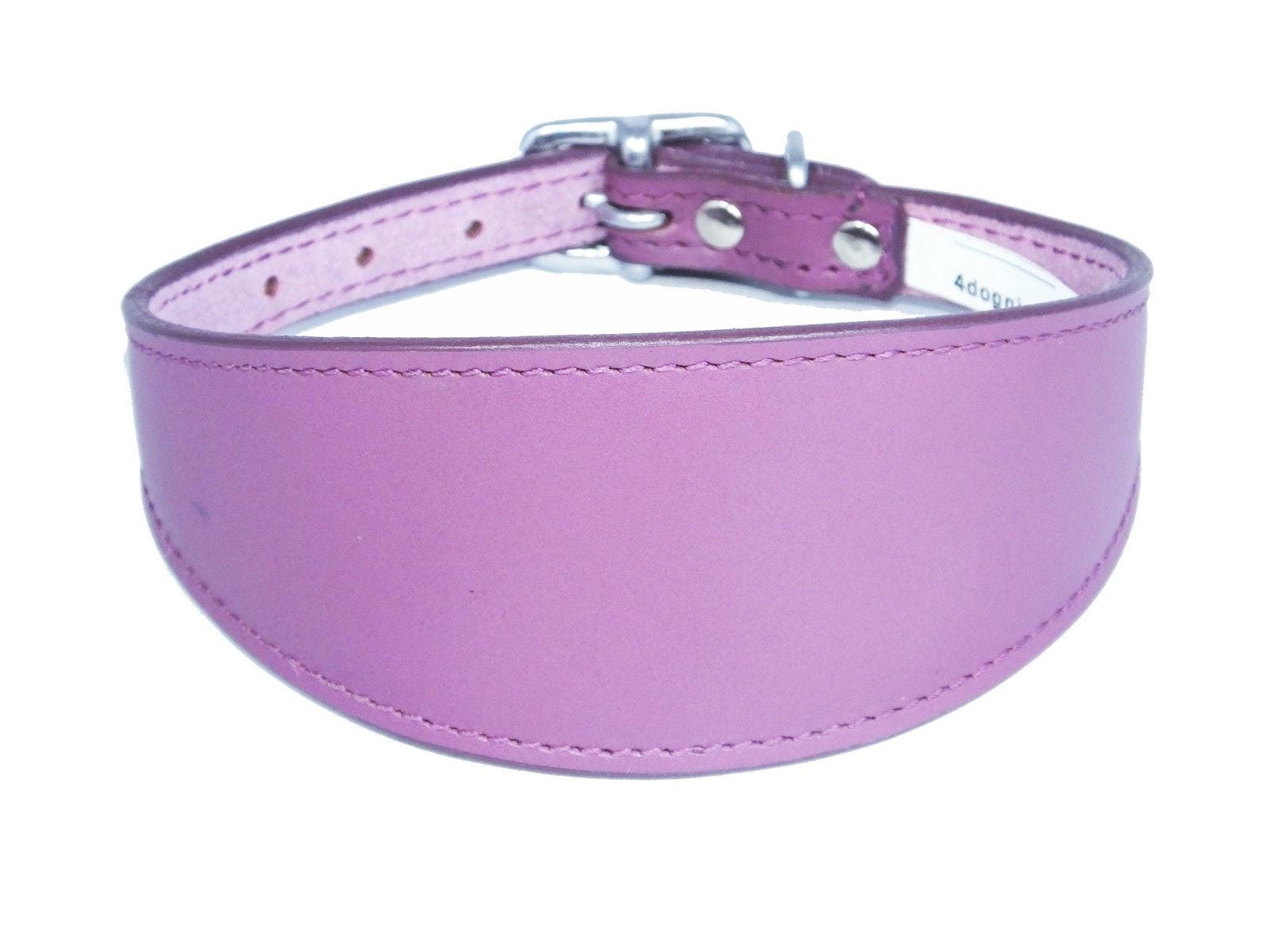 Iggy, Whippet, Greyhound, Lurcher Plain Leather Collar Sude Backing