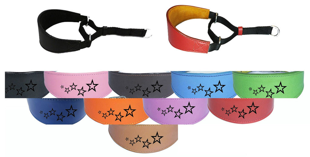 Leather Dog Collar Padded Suede Backing Greyhound Whippet Hound Martingale D2