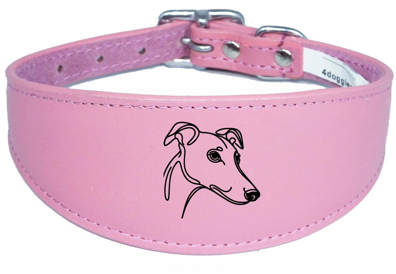 Padded Leather Collar For Greyhound Whippet Sighthound NL 31