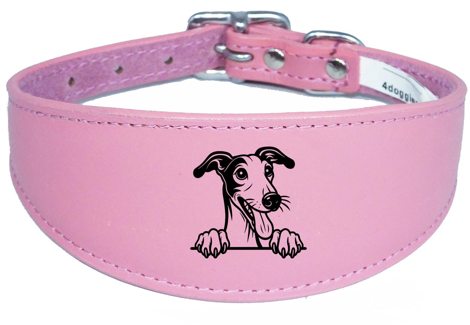 Iggy Greyhound Whippet Sighthound Padded Leather Collar NL 28