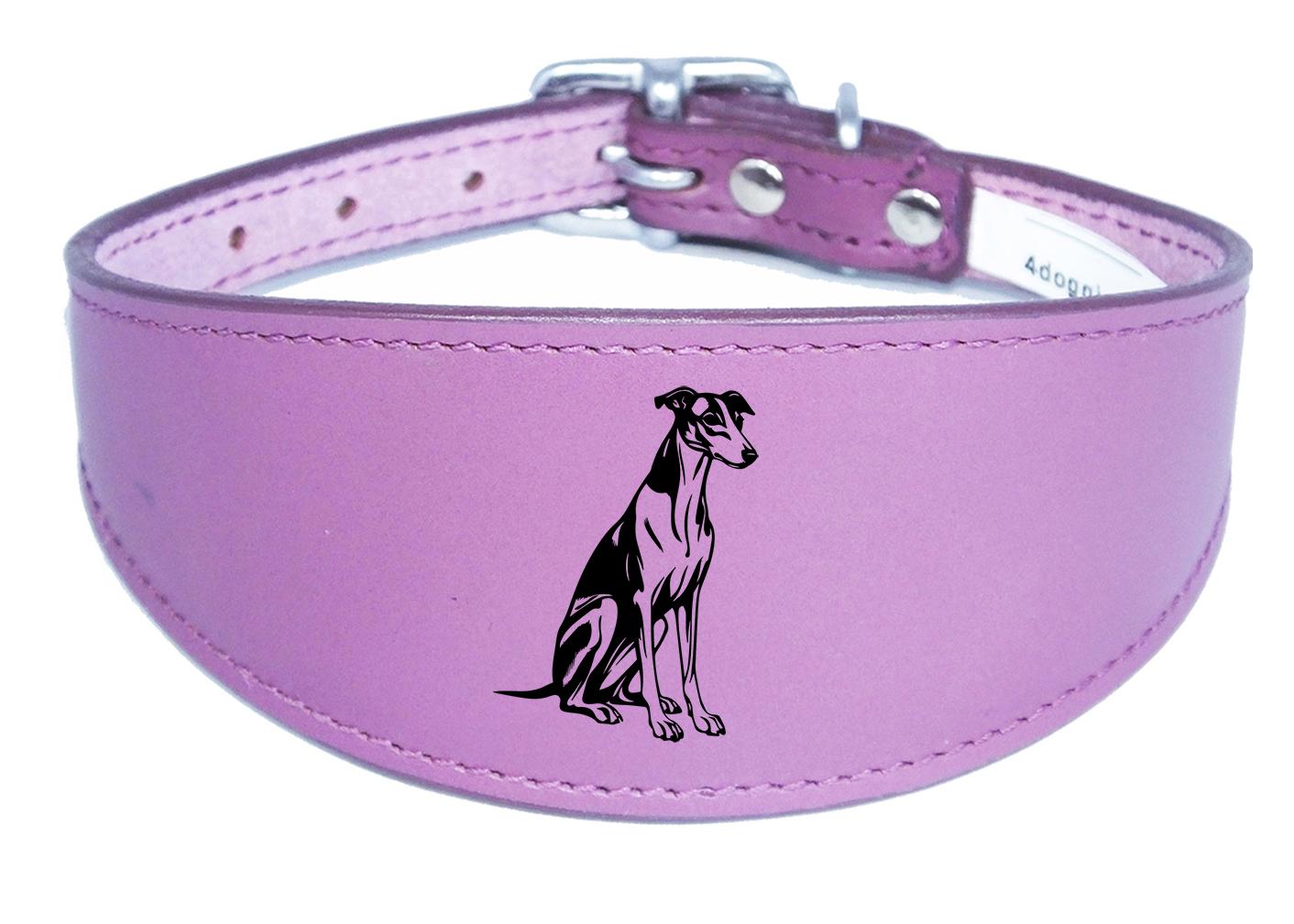 Luxury Whippet Greyhound Sighthound Padded Leather Collar NL 26