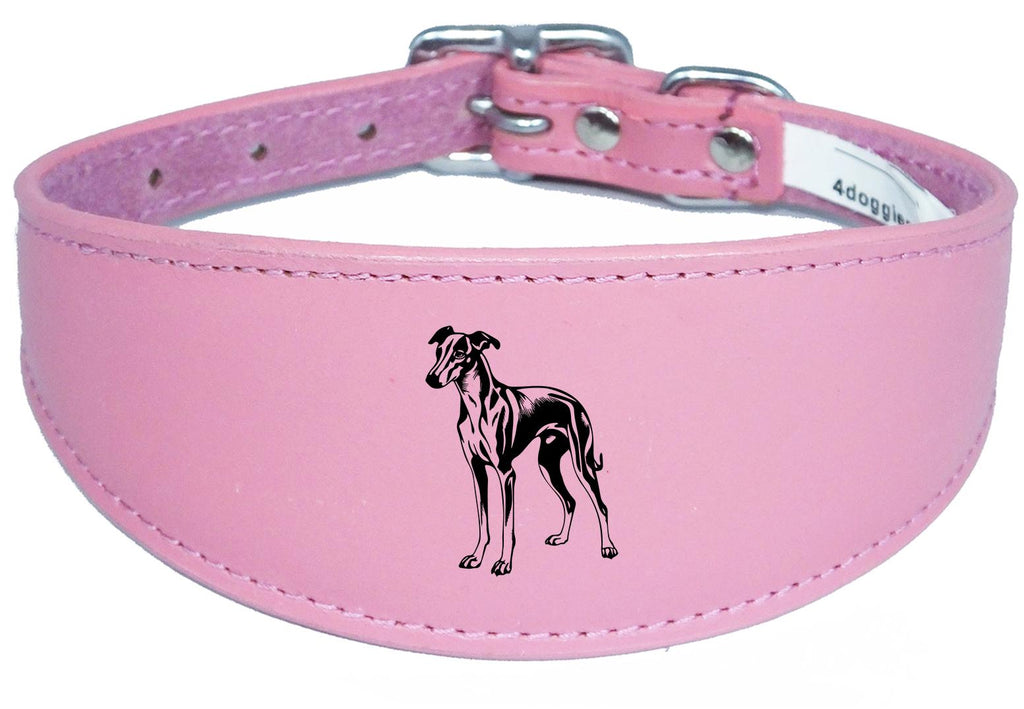 Luxury Greyhound Whippet Sighthound Padded Leather Collar NL 27