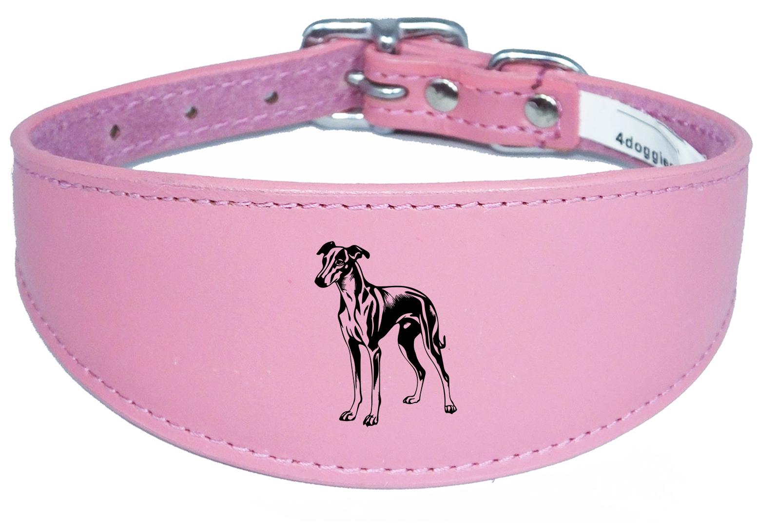 Luxury Greyhound Whippet Sighthound Padded Leather Collar NL 27