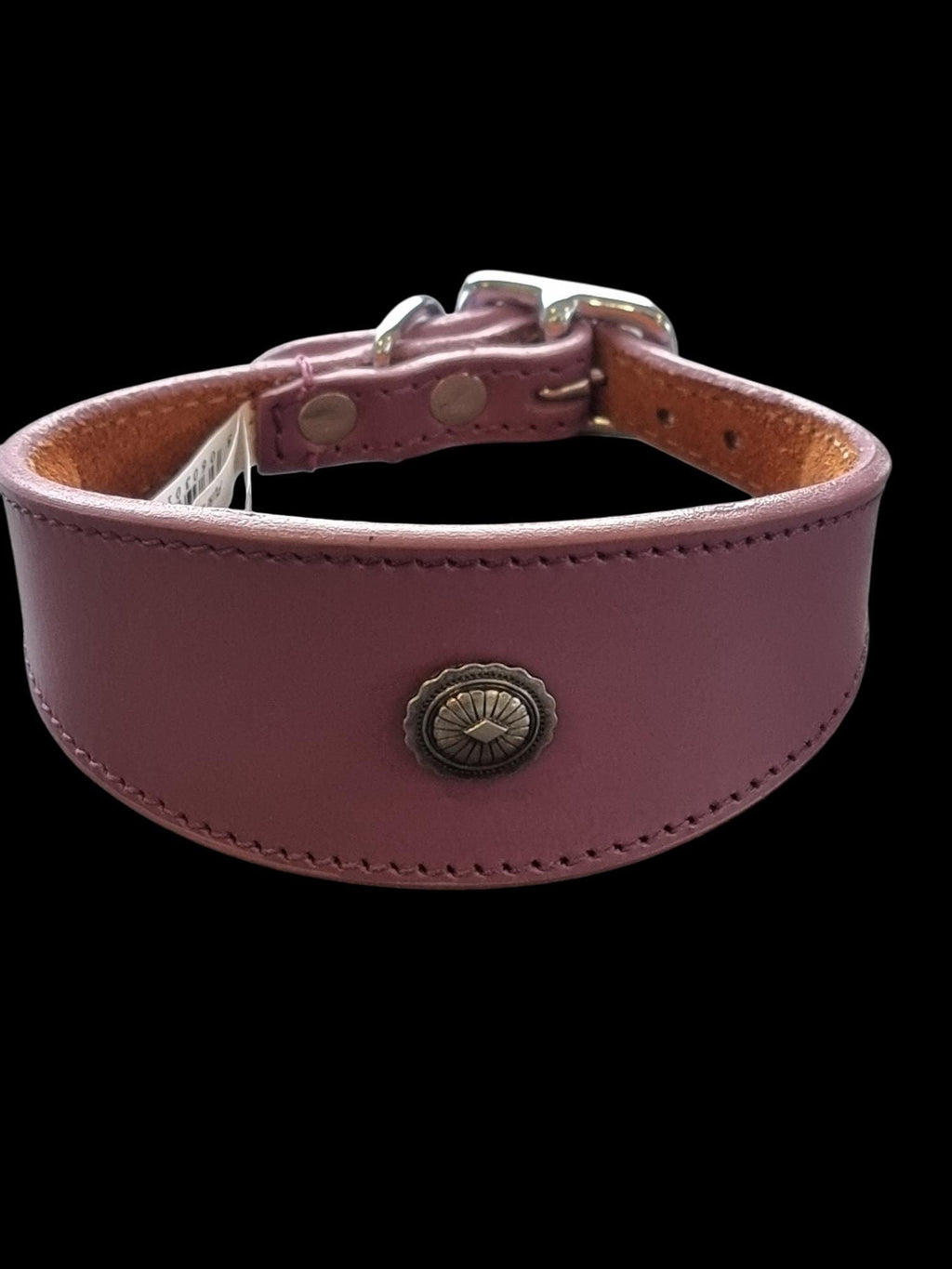 Leather Collar For Iggy, Whippet Greyhound Lurcher Decorative Stud Design DS2