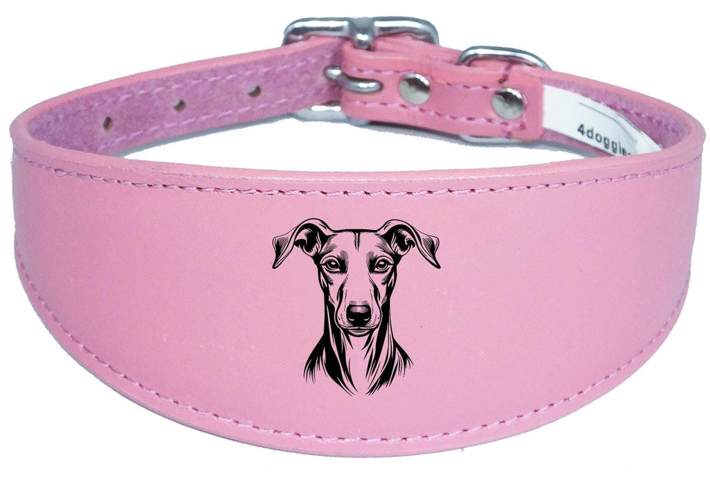 Handmade Wide Leather Sighthound Whippet Greyhound Collar NL 45