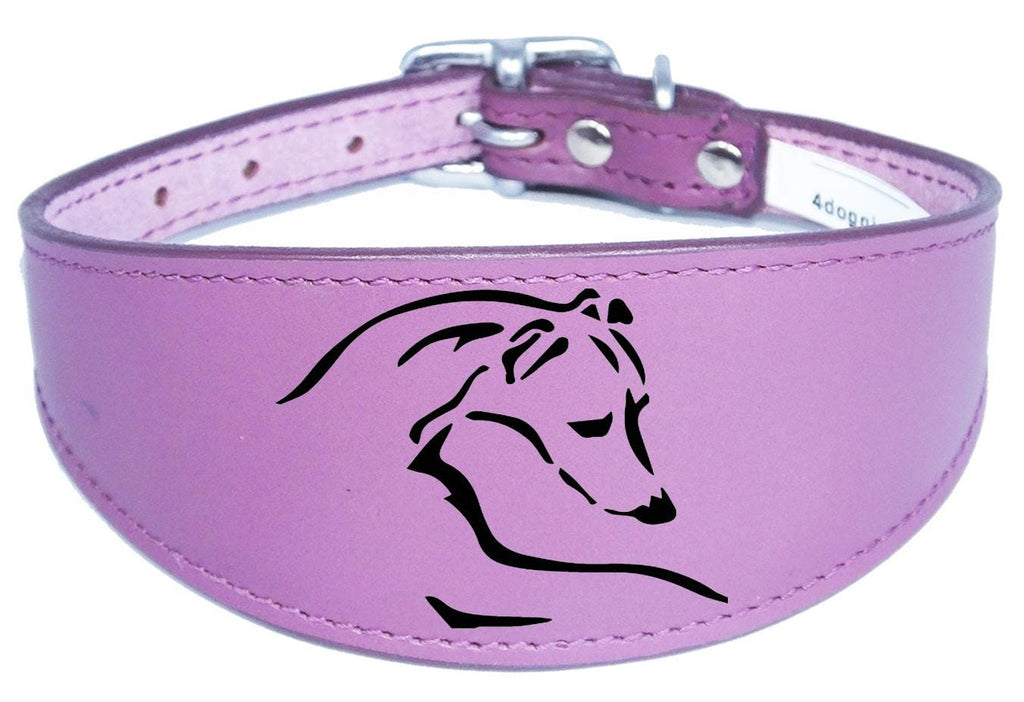 Dog Collar Leather Greyhound Collar Whippet Collar Padded Backing Laser Engraved D12