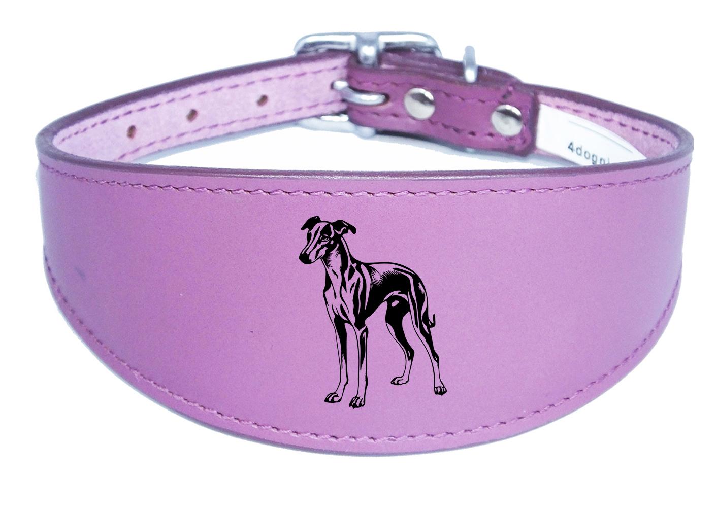 Luxury Greyhound Whippet Sighthound Padded Leather Collar NL 27