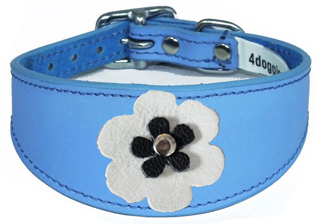 Whippet Greyhound Sighthound Lurcher Decorative Flower Design Leather Collar FD7-5