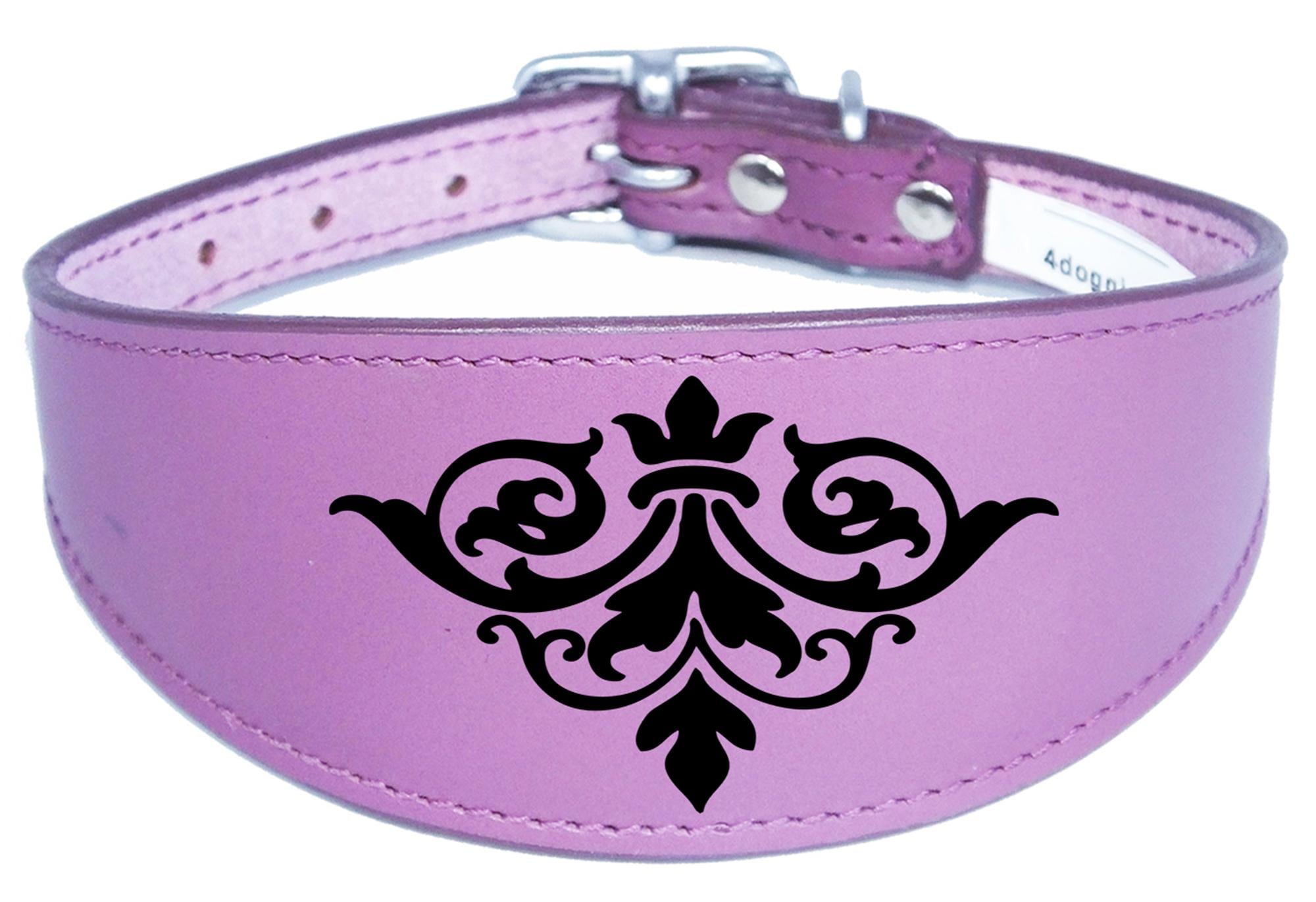Italian Greyhound Collar Whippet Collar Greyhound Collar Padded Backing Dog Collar Engraved D19