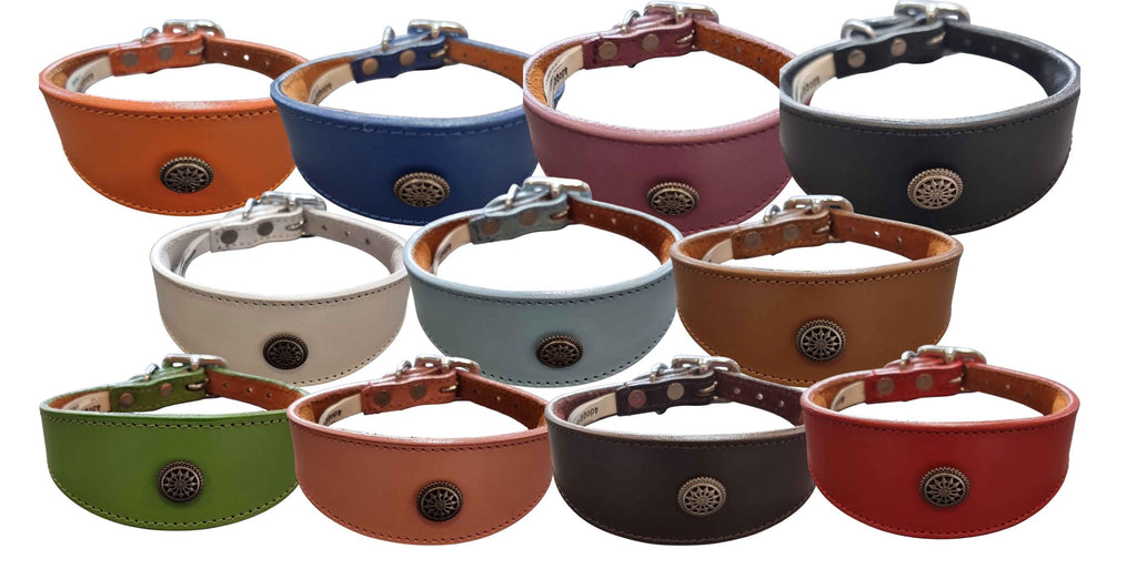 Leather Collar For Whippet Greyhound Lurcher Decorative Stud Design DS 3