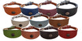 Leather Collar For Whippet Greyhound Lurcher Decorative Stud Design DS 3