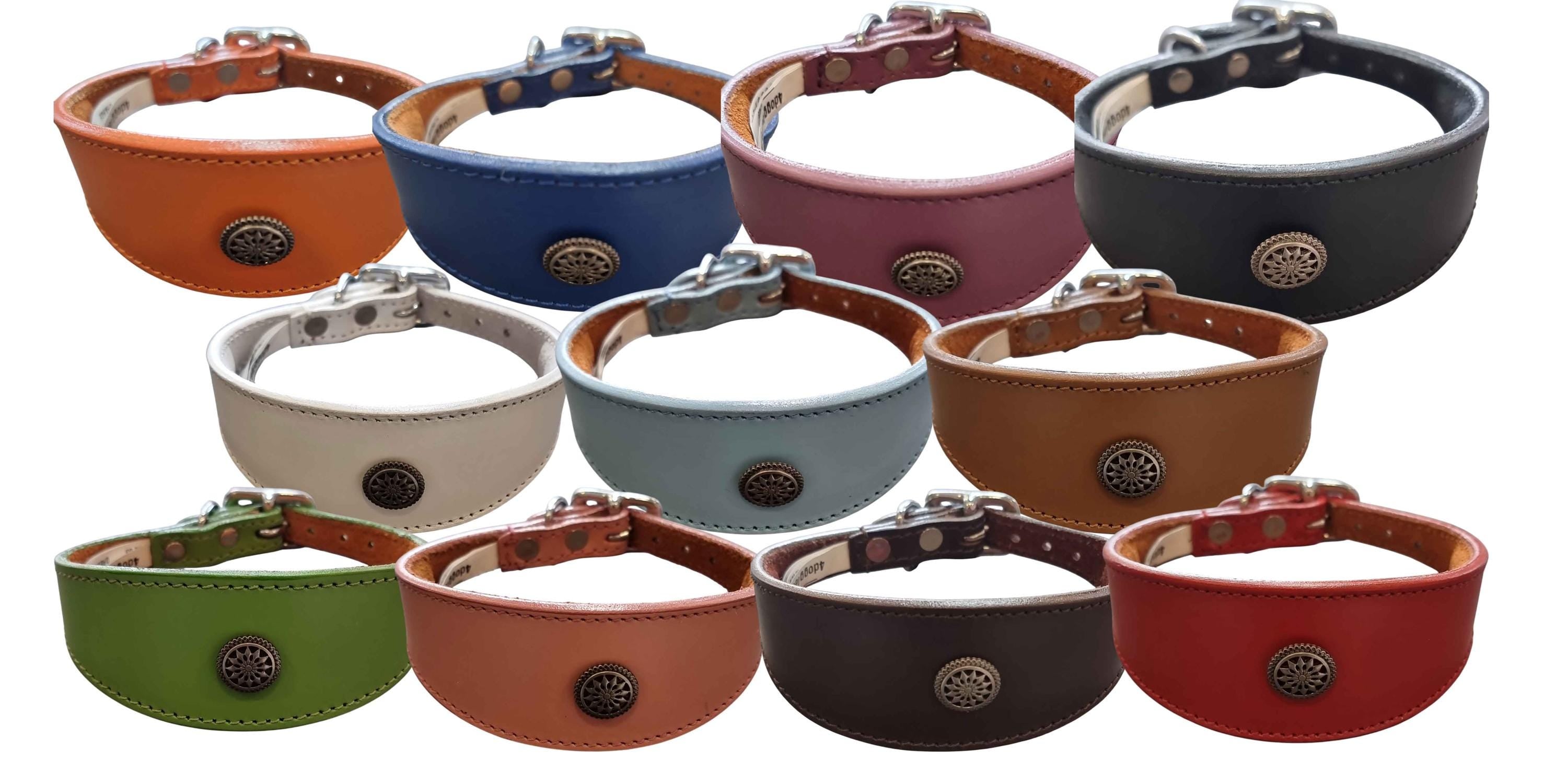 Leather Collar For Whippet Greyhound Lurcher Decorative Stud Design DS 3