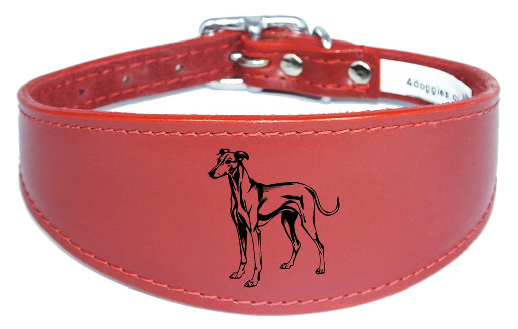 Whippet Greyhound Sighthound Padded Leather Luxury Collar NL 25