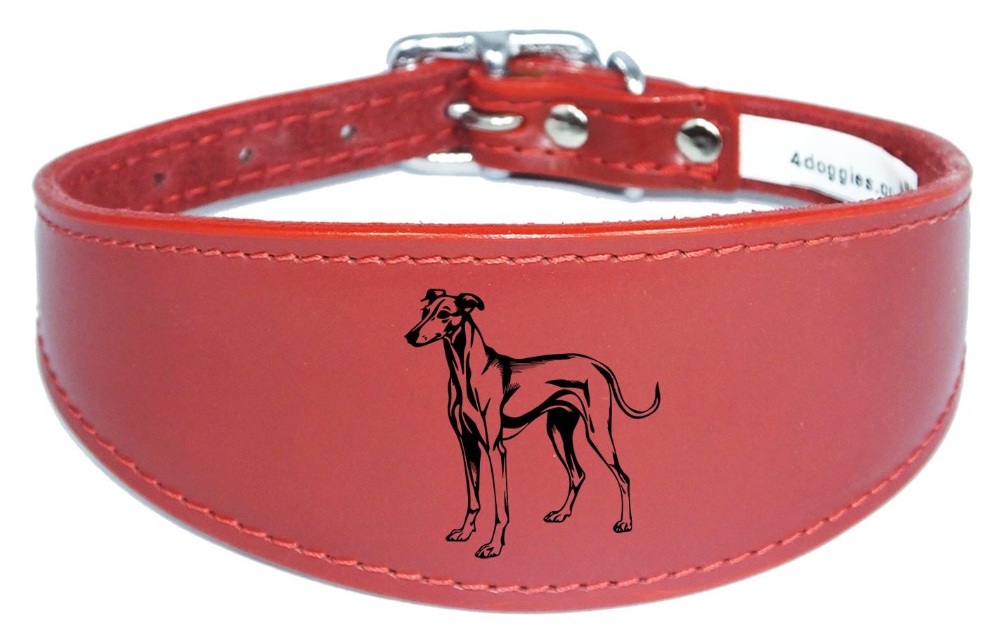 Whippet Greyhound Sighthound Padded Leather Luxury Collar NL 25