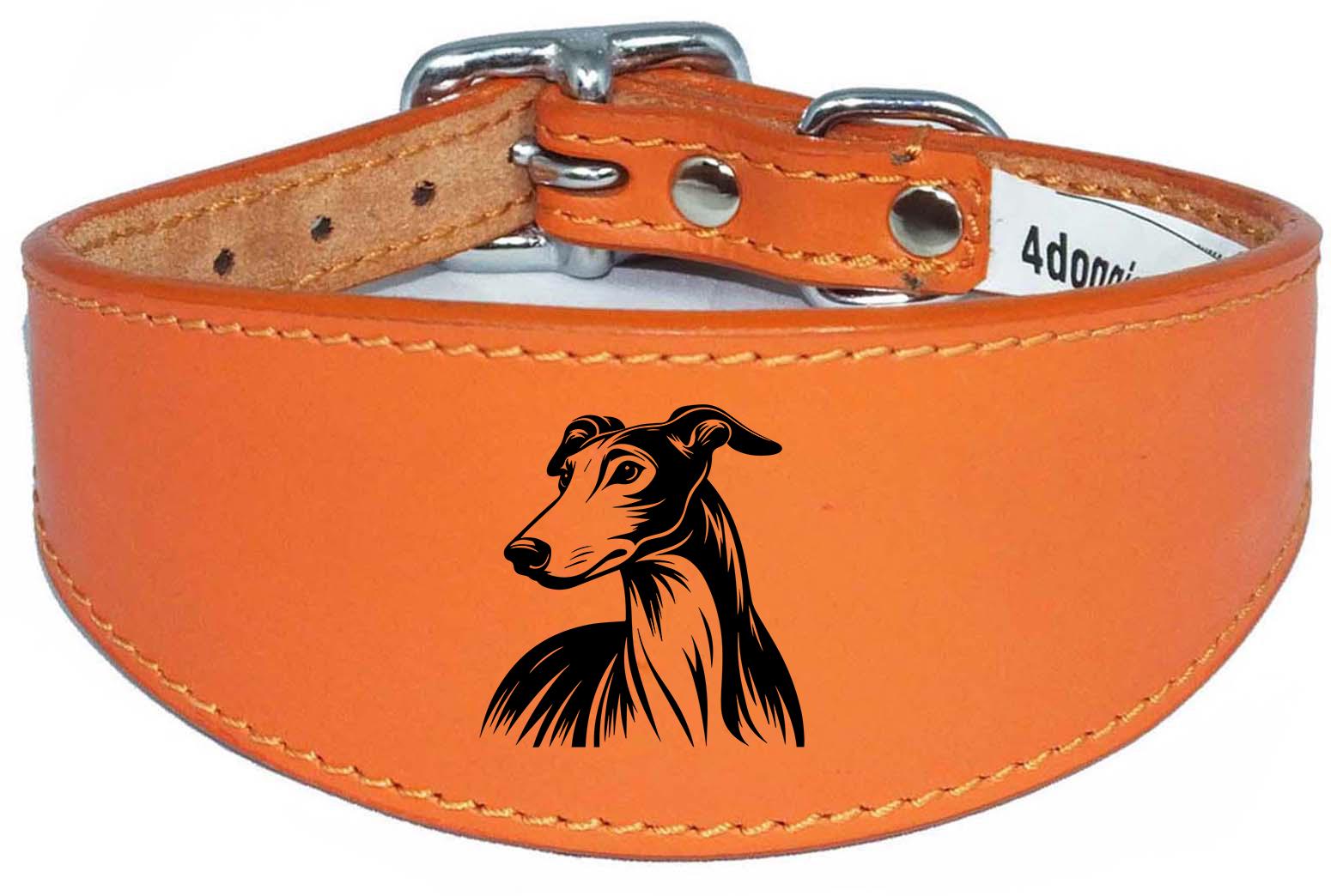 Whippet Greyhound Sighthound Padded Leather Luxury Collar NL 24