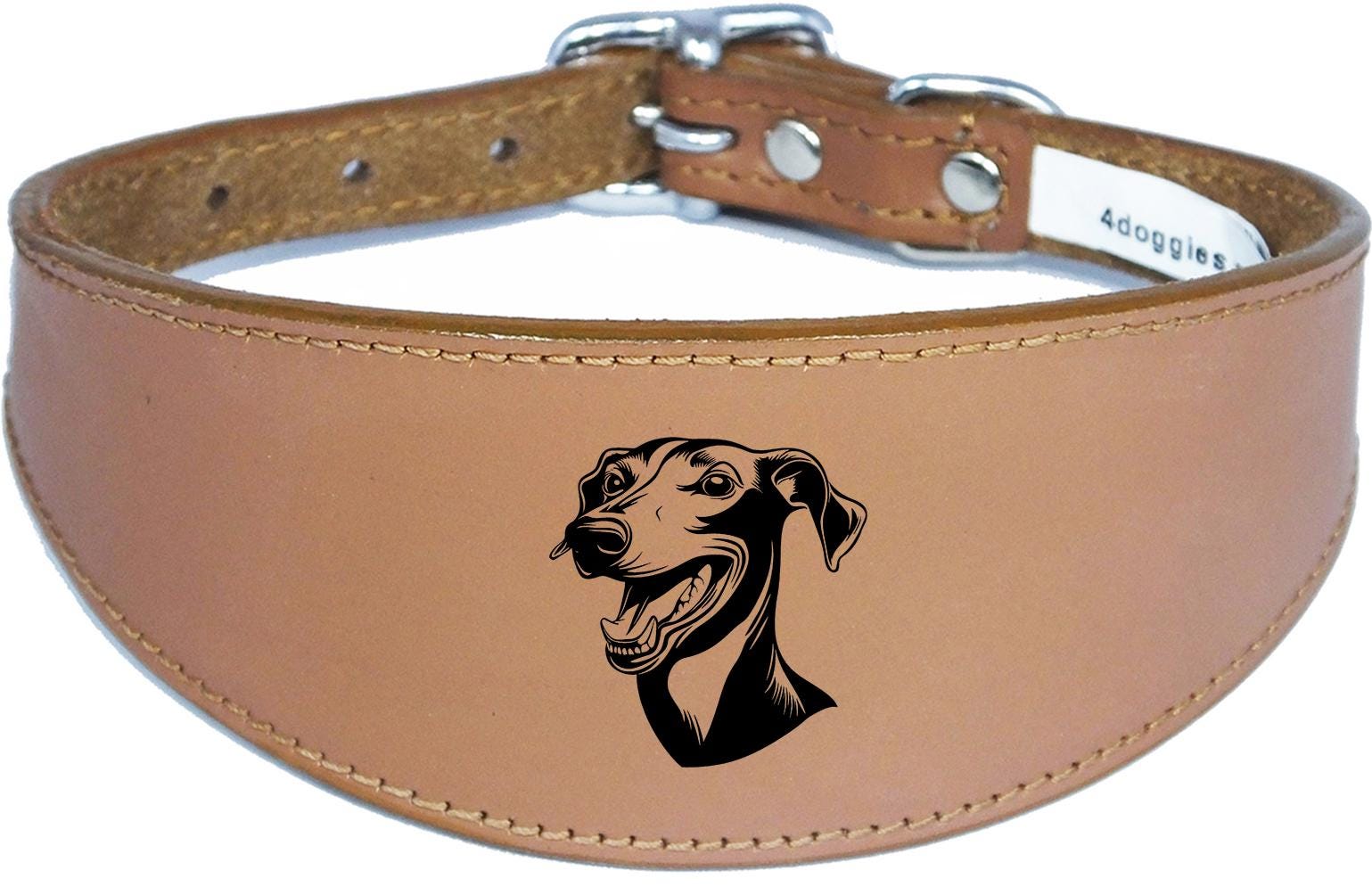 Handmade Wide Leather Sighthound Whippet Greyhound Collar NL 44