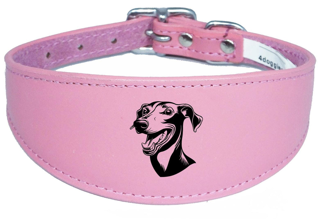 Handmade Wide Leather Sighthound Whippet Greyhound Collar NL 44