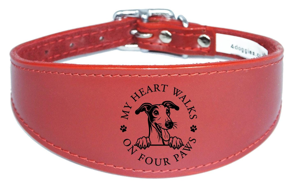 Greyhound Whippet Handmade Wide Leather Collar For Sighthound NL 41